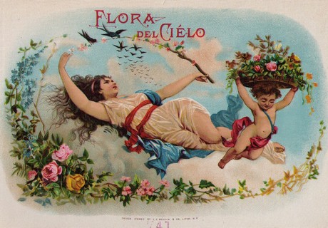 woman-flora-del-cielo11